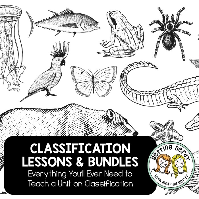 Getting nerdy llc genetics answer key