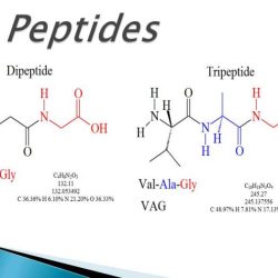 The dipeptide that will form will be