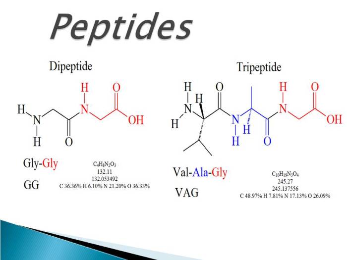 The dipeptide that will form will be