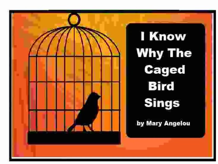 Caged bird poem questions and answers pdf