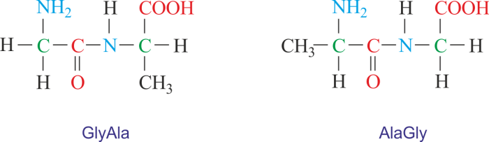 Dipeptide peptide summary