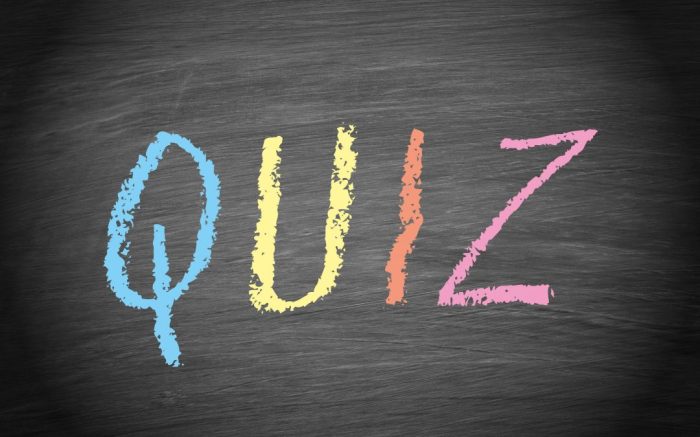 Are you smarter than an eighth grader quiz