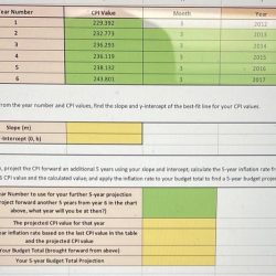 What are the values that underpin this course cpi