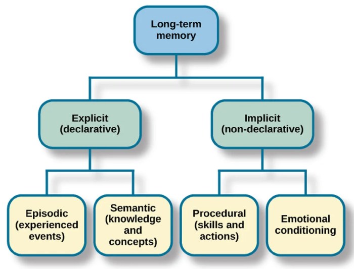 Match each type of memory failure with its corresponding example.