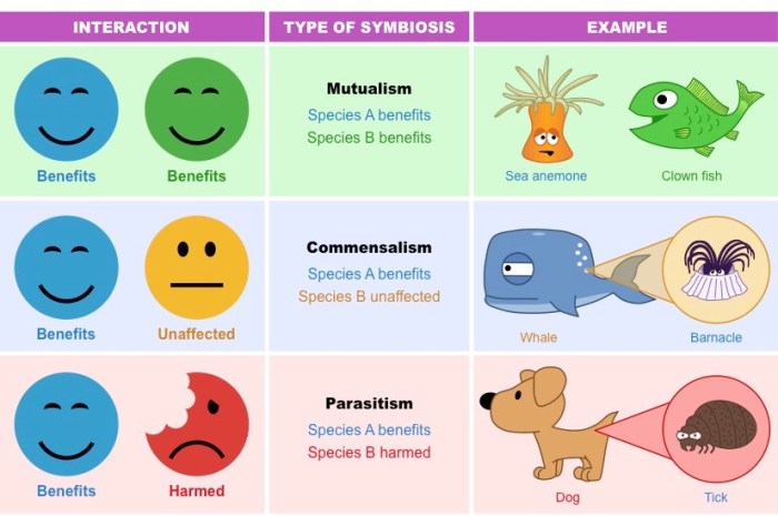 Symbiotic relationships grasslands grassland symbiosis biome living quick look sciencestruck interact refers thriving organisms species shared together each different where