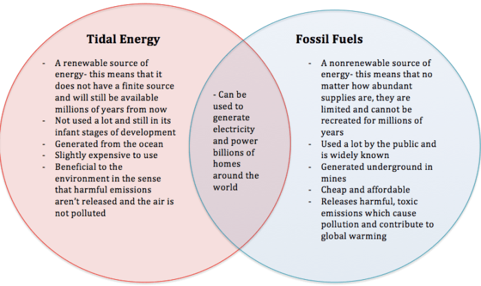 Renewable and non renewable resources venn diagram